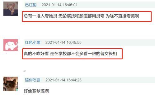 刘浩存助理爆料了吗视频,揭秘背后真相与内幕